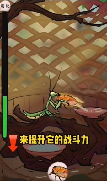 《极品螳螂》白龙螳合成攻略 《极品螳螂》白龙螳合成攻略