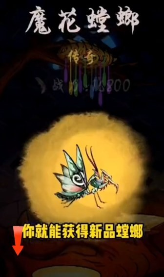 《极品螳螂》白龙螳合成攻略 《极品螳螂》白龙螳合成攻略