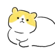 奇怪的猫（国际服）