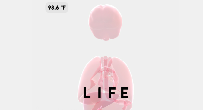 生命life心脏骤停解决方法